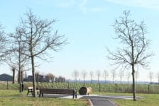 OVV publiceert rapport over de crash van Turkish Airlines op website