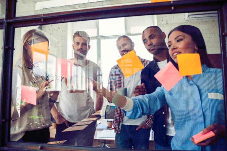 ANVR-bestuur zoekt nieuwe young professional
