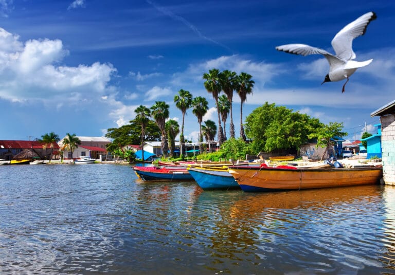 Jamaica Tourist Board introduceert virtuele live-series