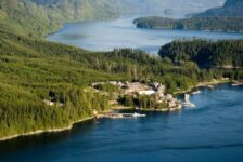 Untamed Travelling: gratis upgrades