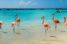 Aruba wil grenzen openen vanaf 1 juli