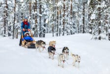Finland: webinars als voorbereiding op herstart toerisme