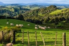 Nieuw-Zeeland: geen toeristen voor 2022