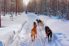 Voigt Travel en Transavia intensiveren samenwerking voor volgende winter