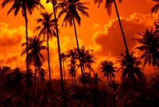 ANVR: goede hoop op meer gele reisadviezen