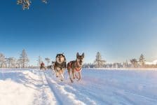 BBI Travel vliegt komende winter vanaf Groningen naar Scandinavian Mountains