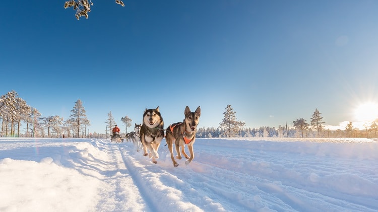 BBI Travel vliegt komende winter vanaf Groningen naar Scandinavian Mountains