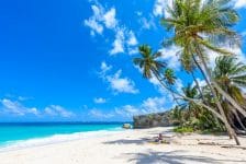 Travel Trend start campagne voor studiereis Barbados