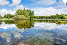 Maak kans op een Fries weekend