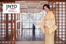 Sfeervol Japan in de winter