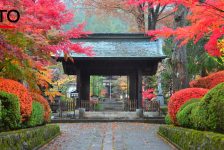De adembenemende kleuren van de Japanse herfst