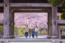 Geniet van het vroege voorjaar in Japan