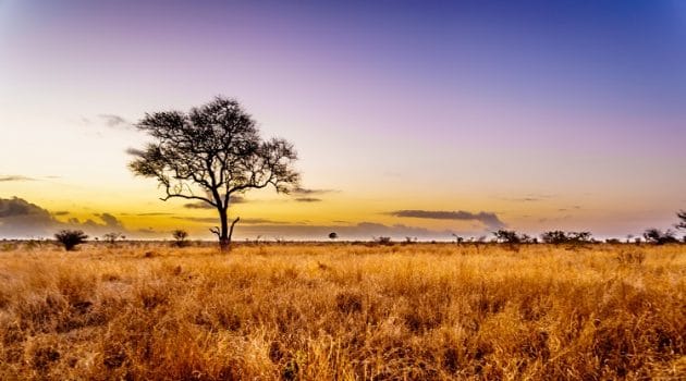 Quarantaineplicht reizigers uit Zuid-Afrika vervalt