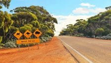 Calamiteit vastgesteld wegens bosbranden Australië (Grampians National Park)