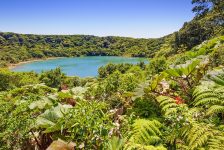 De Jong Intra Vakanties: rondreizen in Costa Rica en Vietnam