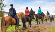 1TIS slaat vleugels verder uit naar België