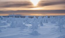 Voigt Travel geeft terug aan de Finse natuur van Salla