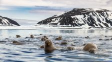 Explore Silversea’s Arctic Cruises and avail of big savings in February