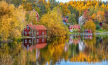 Ferrytours starts collaboration with 1TIS