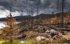 Calamity established for Jasper and Jasper National Park (Canada)