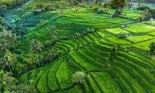 Walter Schut (ANVR): ‘De markt stabiliseert’