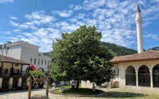 Vakantietrends 2025 volgens TUI; de opkomst van vintage vakanties