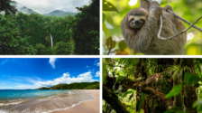 Nieuwe speler op de B2B-markt: Go Costa Rica Travel