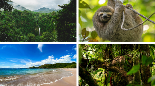 Nieuwe speler op de B2B-markt: Go Costa Rica Travel