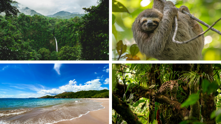 Nieuwe speler op de B2B-markt: Go Costa Rica Travel