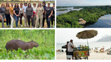 Studiereis Brazilië Untamed Travelling: ‘Where the world can’t find you, is hier wel heel letterlijk het geval’