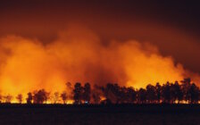 Calamiteit Frankrijk: bosbrand Biscarrosse (Landes)